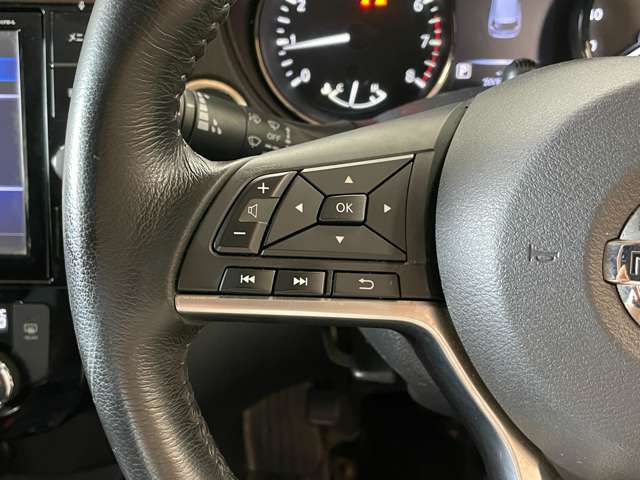 日産 エクストレイル ２．０ ２０Ｘ ２列車 ４ＷＤ H29年 (甲信越・北陸) 99