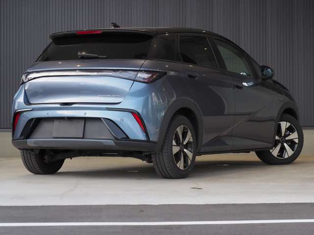 ＢＹＤ ＢＹＤドルフィン ロングレンジ R7年 (東北) 99