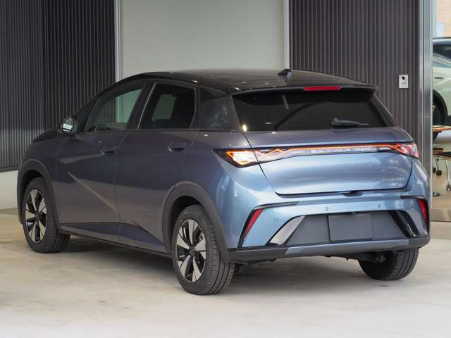ＢＹＤ ＢＹＤドルフィン ロングレンジ R7年 (東北) 99