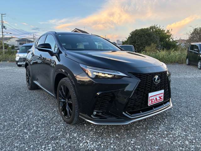 レクサス ＮＸ３５０ｈ Ｆスポーツ R5年 (近畿) 99