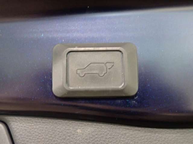 トヨタ ＲＡＶ４　ＰＨＶ ２．５ ブラック トーン Ｅ－ＦＯＵＲ ４ＷＤ R3年 (近畿) 99