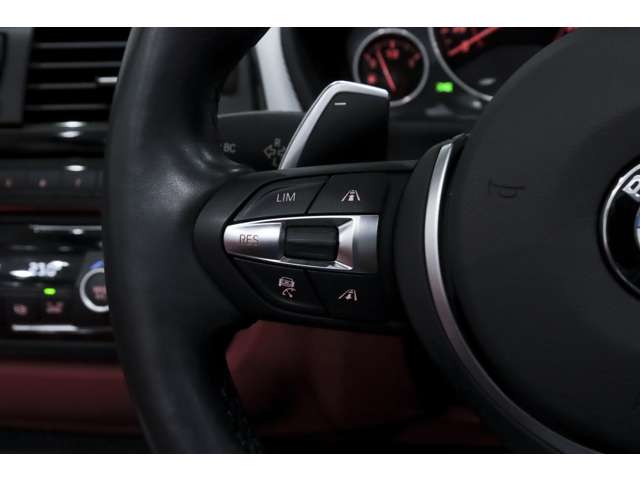 ＢＭＷ ４シリーズ ４４０Ｉ Ｍスポーツ H29年 (関東) 99