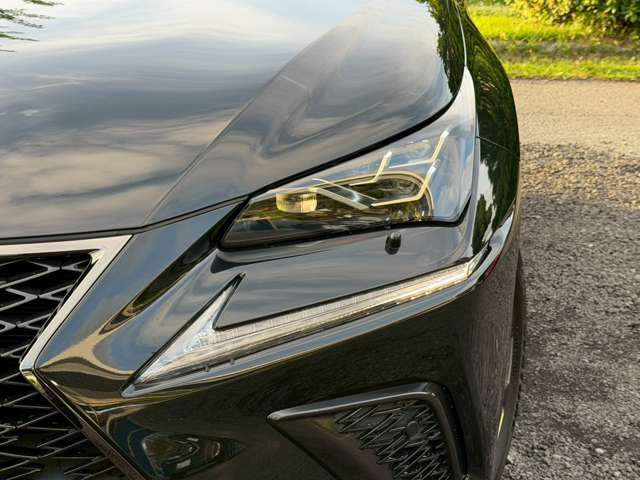 レクサス ＮＸ３００ｈ Ｆスポーツ R2年 (近畿) 99