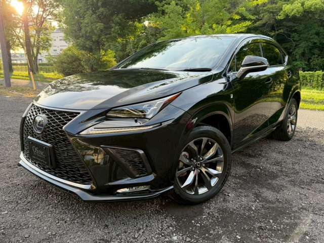 レクサス ＮＸ３００ｈ Ｆスポーツ R2年 (近畿) 99