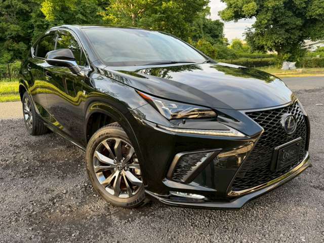 レクサス ＮＸ３００ｈ Ｆスポーツ R2年 (近畿) 99