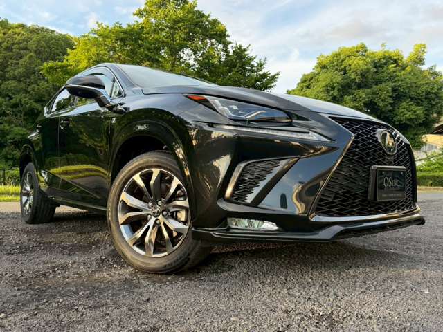 レクサス ＮＸ３００ｈ Ｆスポーツ R2年 (近畿) 99
