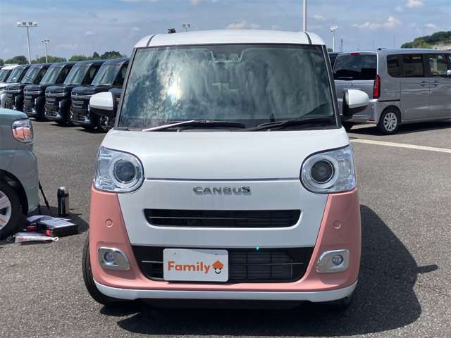ダイハツ ムーヴ　キャンバス ６６０ ストライプス Ｇ R8年 (東海) 99