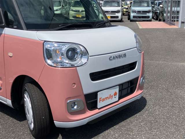 ダイハツ ムーヴ　キャンバス ６６０ ストライプス Ｇ R8年 (東海) 99