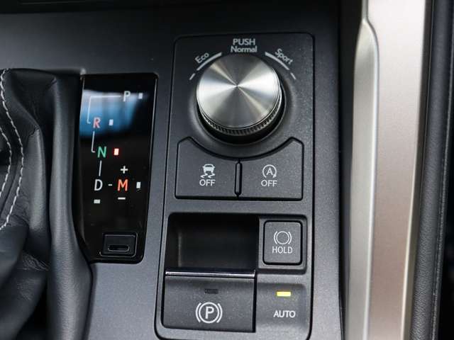 レクサス ＮＸ３００ Ｉパッケージ H30年 (関東) 99
