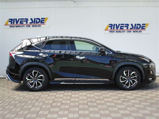 レクサス ＮＸ２００ｔ Ｉパッケージ H27年 (関東) 99