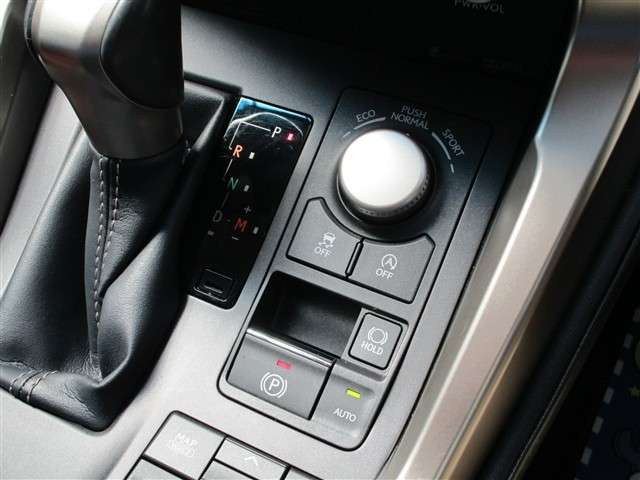 レクサス ＮＸ２００ｔ Ｉパッケージ H27年 (関東) 99