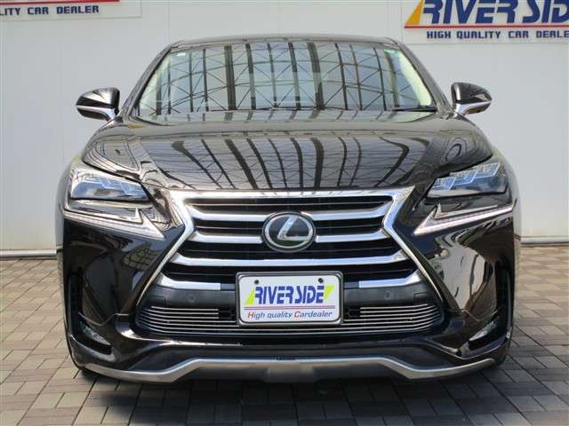 レクサス ＮＸ２００ｔ Ｉパッケージ H27年 (関東) 99