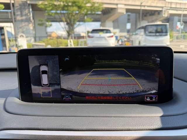 レクサス ＲＸ４５０ｈ Ｆスポーツ R2年 (近畿) 99