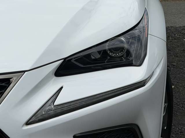 レクサス ＮＸ３００ｈ Ｆスポーツ R2年 (近畿) 99