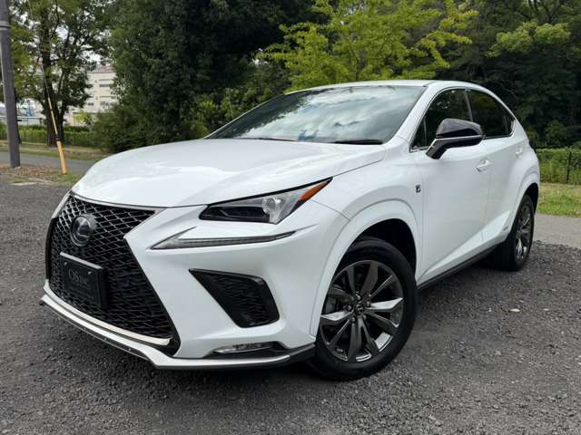 レクサス ＮＸ３００ｈ Ｆスポーツ R2年 (近畿) 99