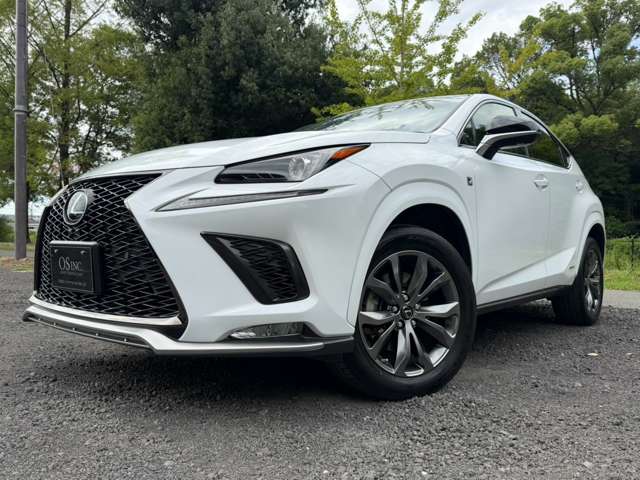 レクサス ＮＸ３００ｈ Ｆスポーツ R2年 (近畿) 99