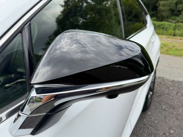 レクサス ＮＸ３００ｈ Ｆスポーツ R2年 (近畿) 99