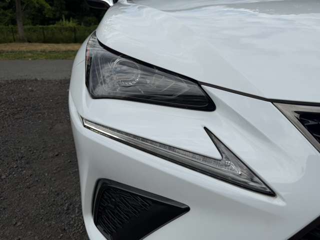 レクサス ＮＸ３００ｈ Ｆスポーツ R2年 (近畿) 99