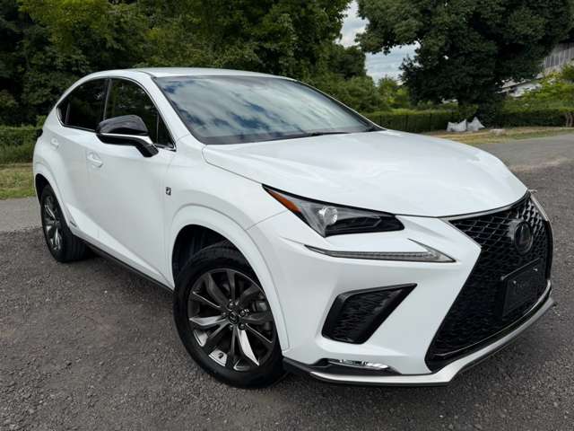 レクサス ＮＸ３００ｈ Ｆスポーツ R2年 (近畿) 99