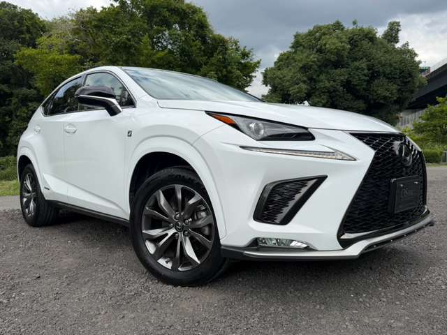 レクサス ＮＸ３００ｈ Ｆスポーツ R2年 (近畿) 99