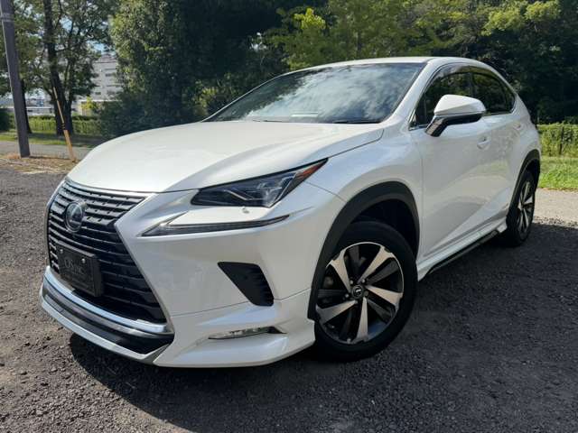 レクサス ＮＸ３００ｈ バージョンＬ H30年 (近畿) 99