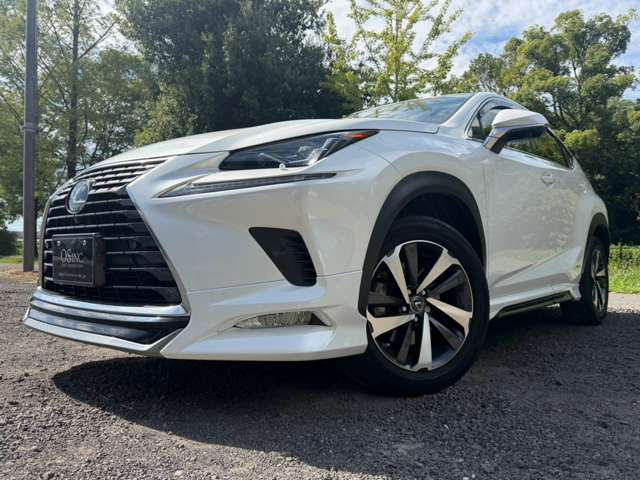 レクサス ＮＸ３００ｈ バージョンＬ H30年 (近畿) 99