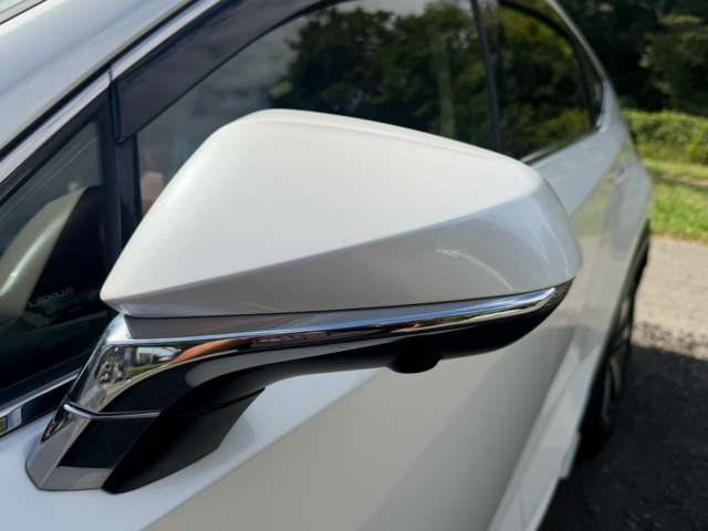 レクサス ＮＸ３００ｈ バージョンＬ H30年 (近畿) 99