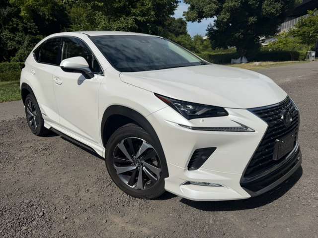 レクサス ＮＸ３００ｈ バージョンＬ H30年 (近畿) 99