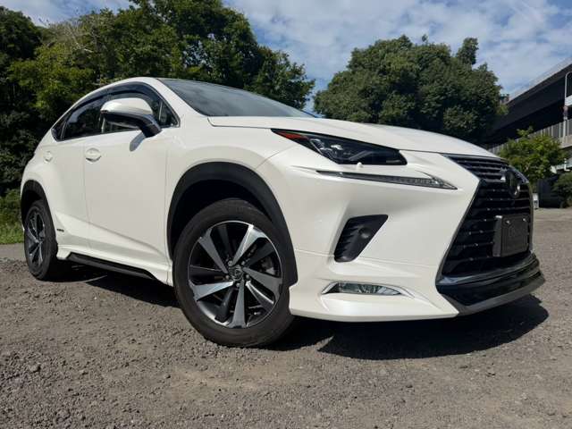 レクサス ＮＸ３００ｈ バージョンＬ H30年 (近畿) 99