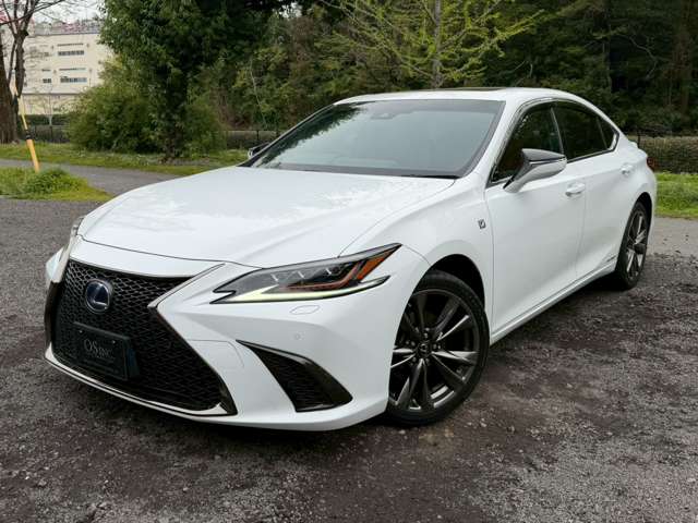 レクサス ＥＳ３００ｈ Ｆスポーツ R1年 (近畿) 99