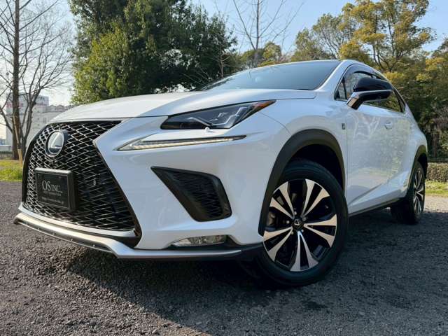 レクサス ＮＸ３００ｈ Ｆスポーツ H30年 (近畿) 99