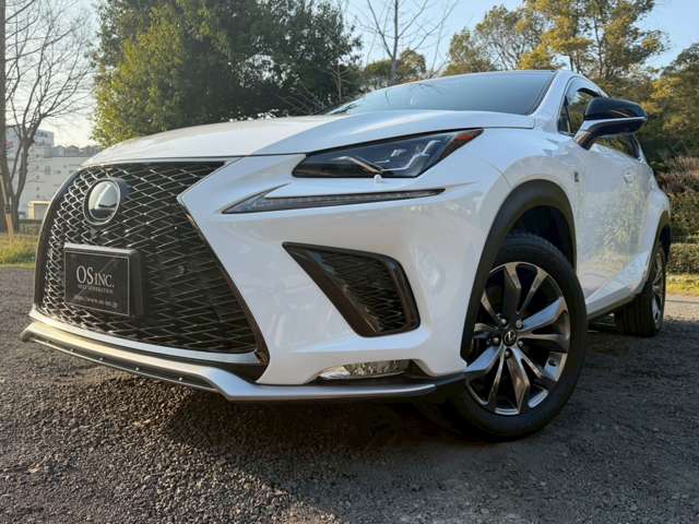 レクサス ＮＸ３００ｈ Ｆスポーツ H30年 (近畿) 99