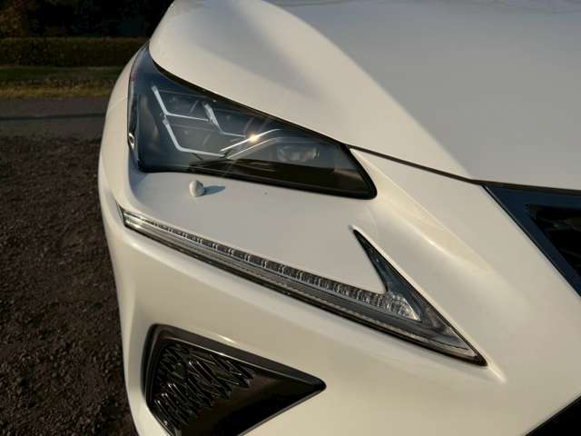 レクサス ＮＸ３００ｈ Ｆスポーツ H30年 (近畿) 99