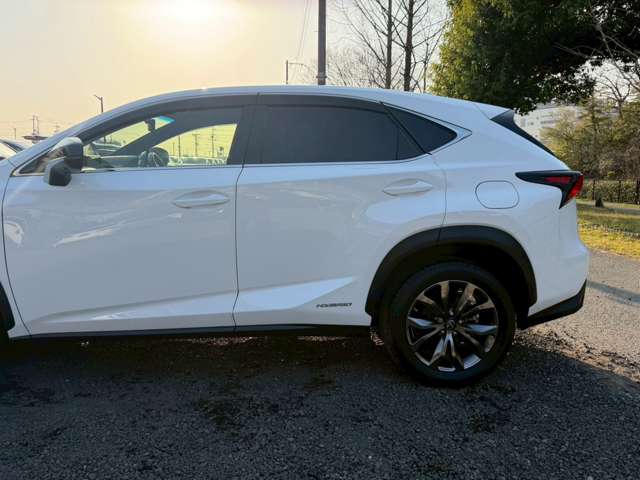 レクサス ＮＸ３００ｈ Ｆスポーツ H30年 (近畿) 99