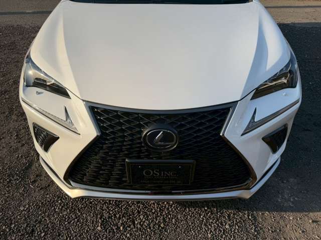 レクサス ＮＸ３００ｈ Ｆスポーツ H30年 (近畿) 99
