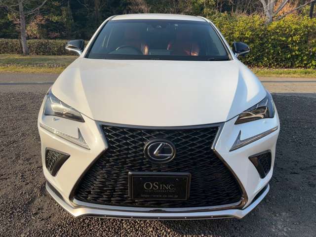レクサス ＮＸ３００ｈ Ｆスポーツ H30年 (近畿) 99