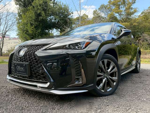 レクサス ＵＸ２５０ｈ ２５０Ｈ Ｆスポーツ ４ＷＤ R1年 (近畿) 99
