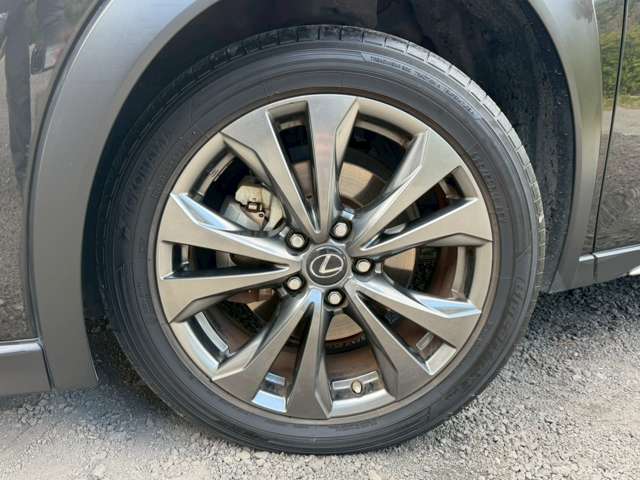 レクサス ＵＸ２５０ｈ ２５０Ｈ Ｆスポーツ ４ＷＤ R1年 (近畿) 99