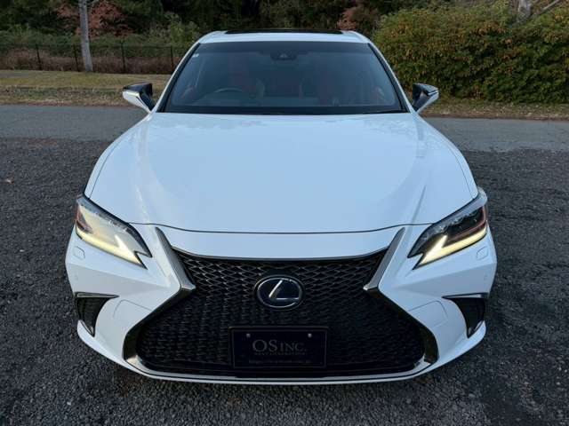 レクサス ＥＳ３００ｈ Ｆスポーツ R2年 (近畿) 99
