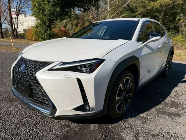 レクサス ＵＸ２５０ｈ バージョンＬ R3年 (近畿) 99