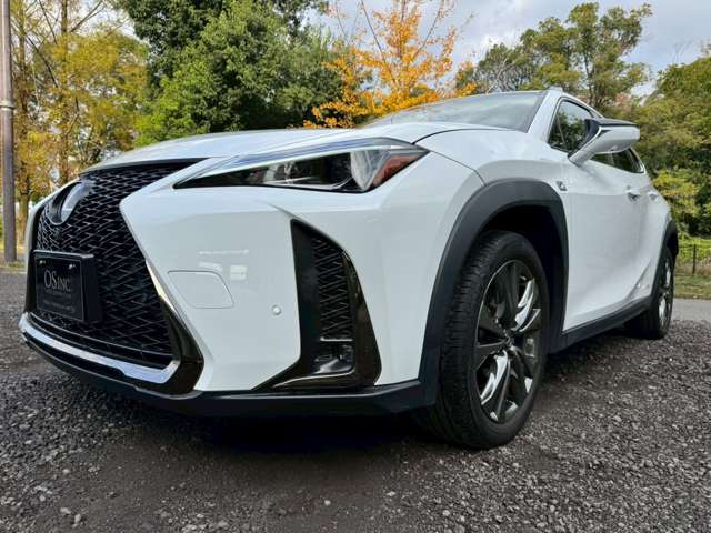レクサス ＵＸ２５０ｈ Ｆスポーツ H30年 (近畿) 99