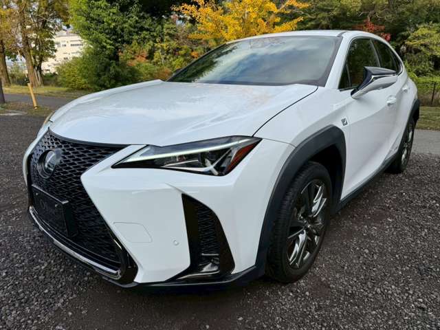 レクサス ＵＸ２５０ｈ Ｆスポーツ H30年 (近畿) 99