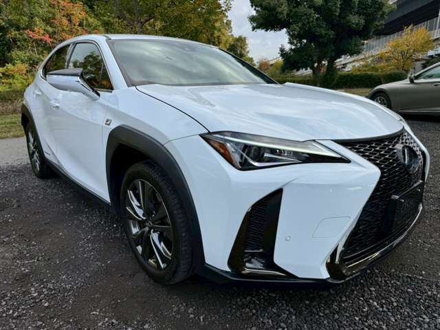 レクサス ＵＸ２５０ｈ Ｆスポーツ H30年 (近畿) 99