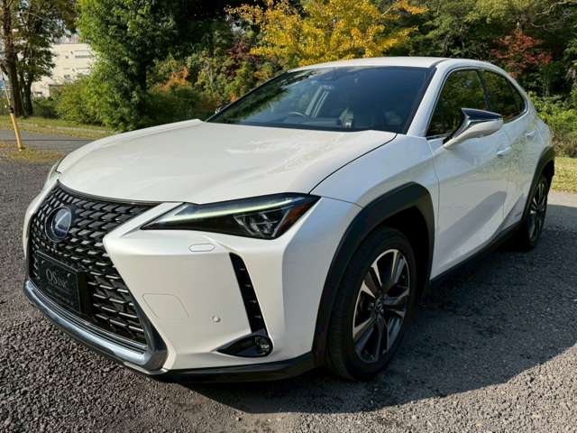レクサス ＵＸ２５０ｈ バージョンＬ R1年 (近畿) 99