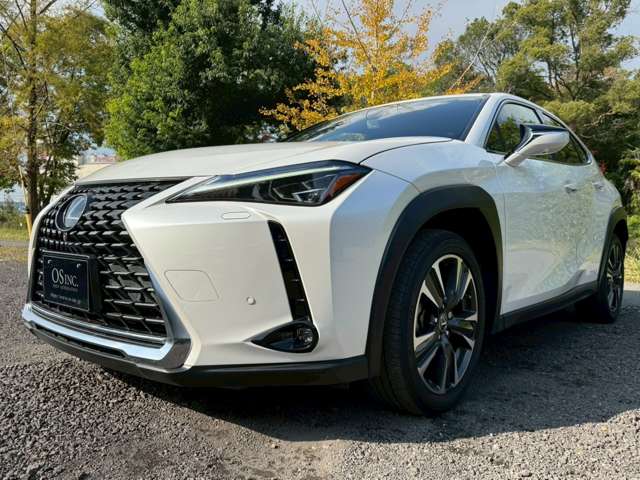 レクサス ＵＸ２５０ｈ バージョンＬ R1年 (近畿) 99