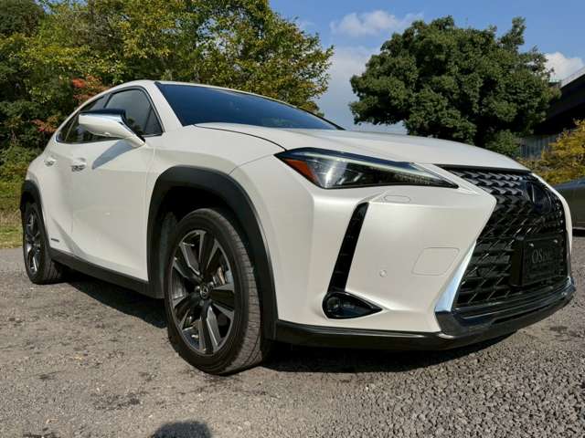 レクサス ＵＸ２５０ｈ バージョンＬ R1年 (近畿) 99