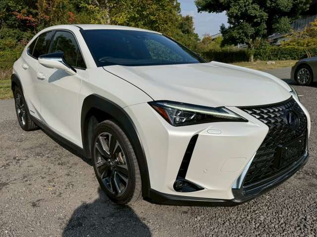 レクサス ＵＸ２５０ｈ バージョンＬ R1年 (近畿) 99