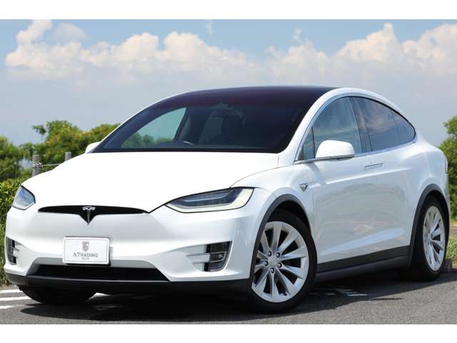 テスラ モデルＸ ロングレンジ R2年 (東海) 99
