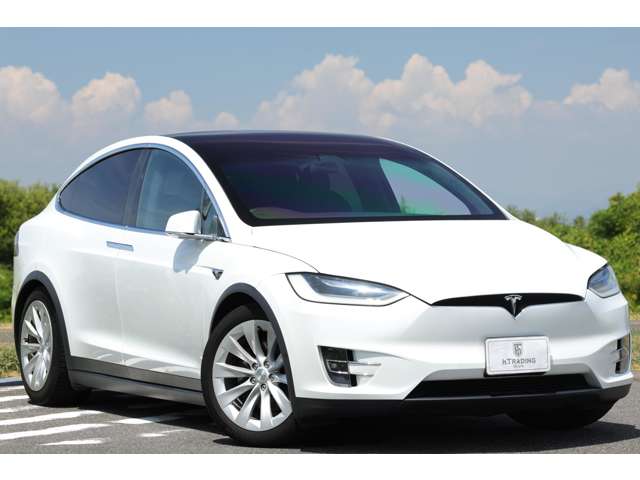 テスラ モデルＸ ロングレンジ R2年 (東海) 99