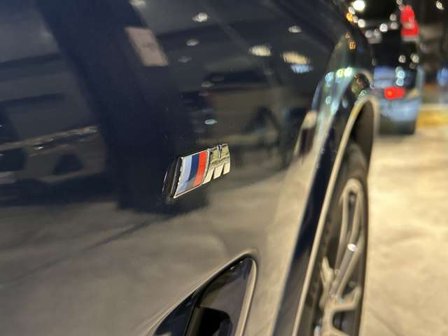 ＢＭＷ Ｘ３ Ｘドライブ２０Ｄ Ｍスポーツ ディーゼルターボ ４ＷＤ R3年 (関東) 99